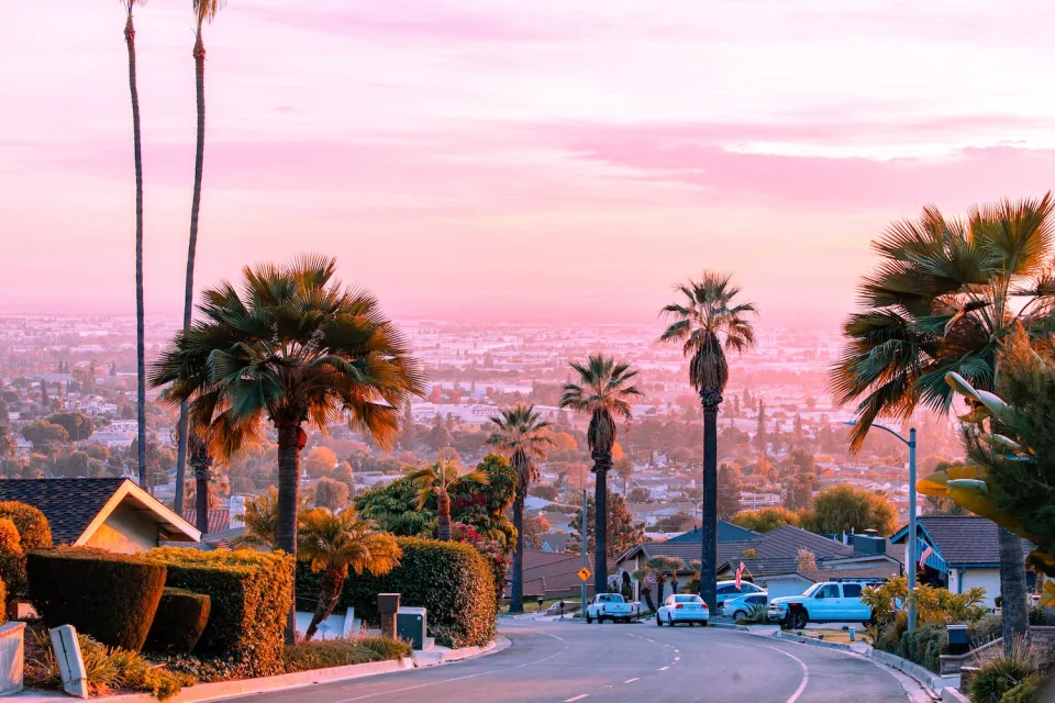 View of residential street in Los Angeles with palm trees and hazy city in distance.